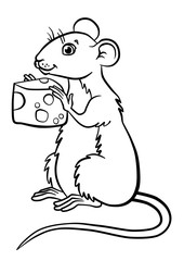Cute mouse sitting in the field