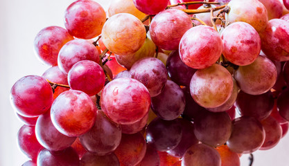 Red grape