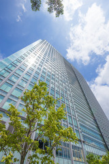 新緑と高層ビル