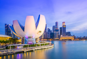 Obraz premium Singapore skyline at night