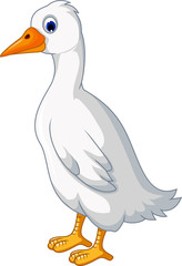 white duck cartoon