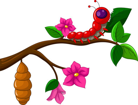 Worm cartoon life cycle