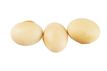Soy Beans
