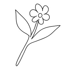 drzewo,kwiaty,przyroda © monikakosz