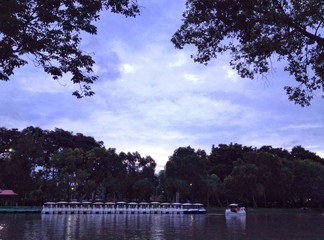 Fototapeta premium lake in a park