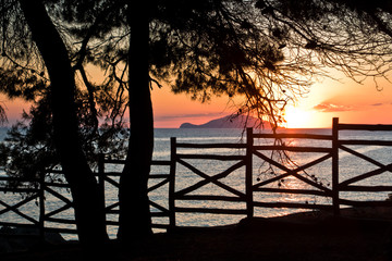 Sunset through wooden fence below pine trees in Sithonia
