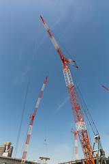 再開発中の豊洲地区