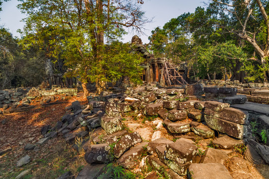 Ruins in jungle Angkor Wat Siem Reap, Cambodia.