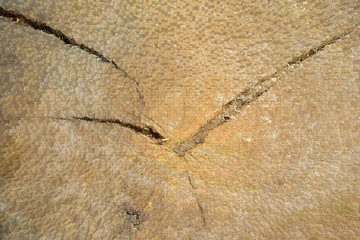 Wood texture, 3d block style