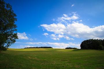 Landschaft auf der Insel Rügen