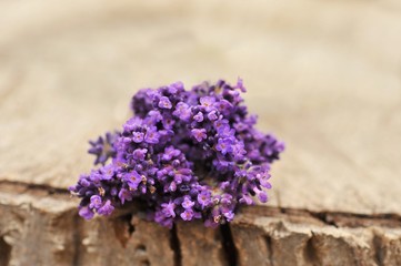 Lavendel auf Holz