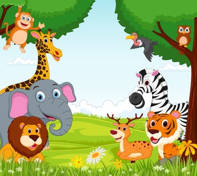 Animal cartoon in the jungle