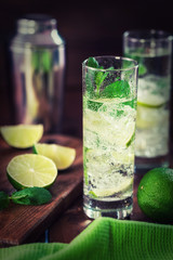 Fresh Mojito Cocktail