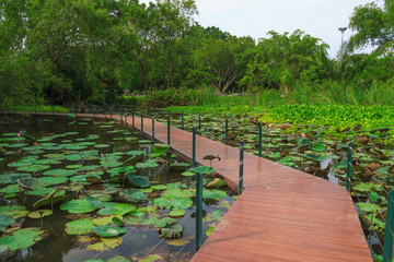 Wood bridge © chokmoso