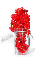 Red currants in jar over white background