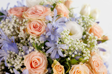 tanti fiori