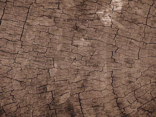 natural-dried crack's wood pattern