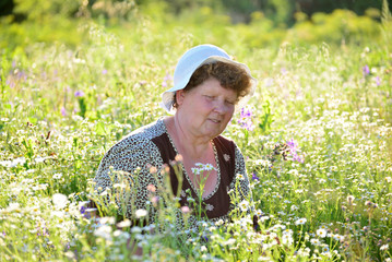  elderly woman on   meadow in summer day