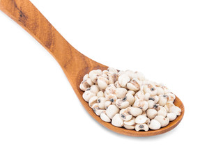 jobs tears grain seed with wooden spoon isolated on white backgr