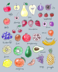Collection of fruits