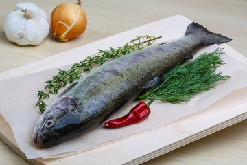 Raw trout