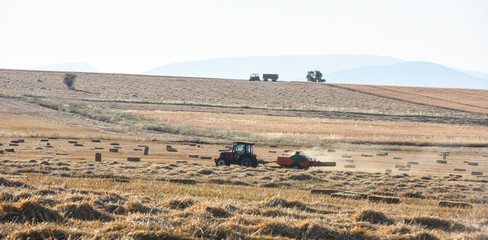 Obraz premium tarla çalışanları ve zirai faaliyetler