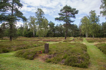 Mass graves at the Soviet War Cemetery Bergen-Lohheide close to the concentration camp...
