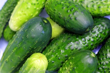 Текстура огурцов