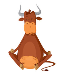 meditating cow