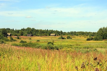 Заброшенная деревня в летнем поле