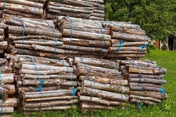 Big pile of wood logs