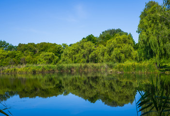 Sunny day on a calm river in summer