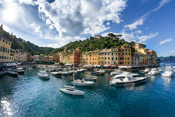 Fototapeta na wymiar Port de Portofino (Liguria)
