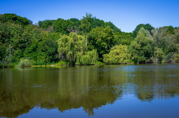 Obraz na płótnie Canvas Pond on a sunny day