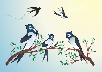 Birds swallows vector illustration, on the background of the sunny sky, birds sitting and talk on a tree branch, the other fly in the sky
