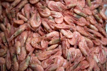Shrimp at Bergen fish market
