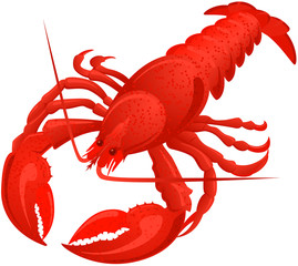 Lobster
