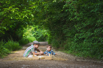 Brothers sitting and talking in countryside environment. Playing with chicks. Enjoying on fresh air. Vintage effect, horizontal orientation. Positive emotions.