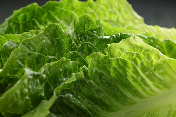 fresh romain green salad close up