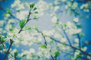 Retro Spring Blooming Trees
