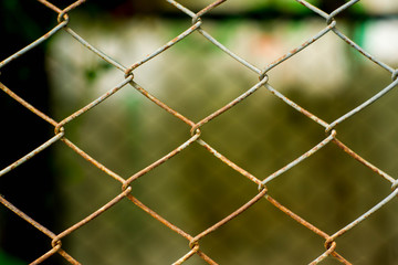 Steel Cage