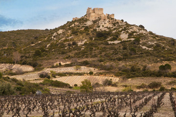 Fototapeta premium Chateau Aguilar