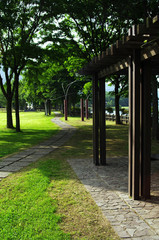 公園風景