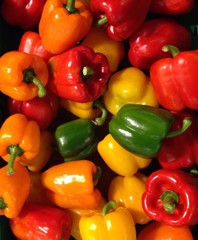 Paprika