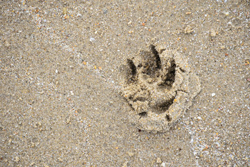 footprint on the beach