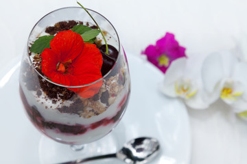 Dessert Joghurt espuma mit Beerenragout und Nusscrunchy Nahaufnahme