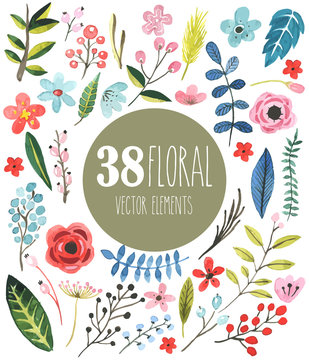 38 Floral Vector Watercolor Elements