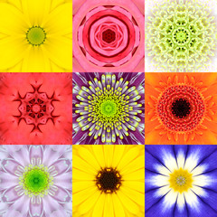 Collection Set Nine Flower Mandalas Various Colors Kaleidoscope