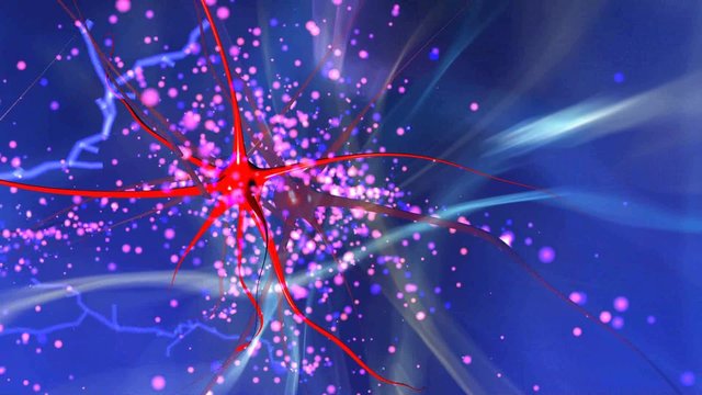 nerve cells with electrical pulses