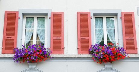 Window Background with flowers
